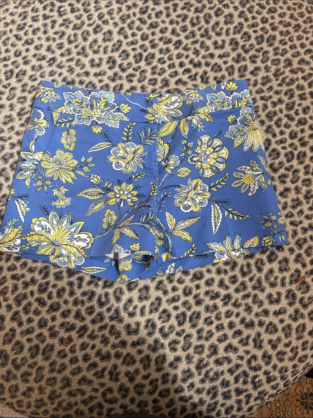 LOFT Blue Floral High-Rise Women's Shorts